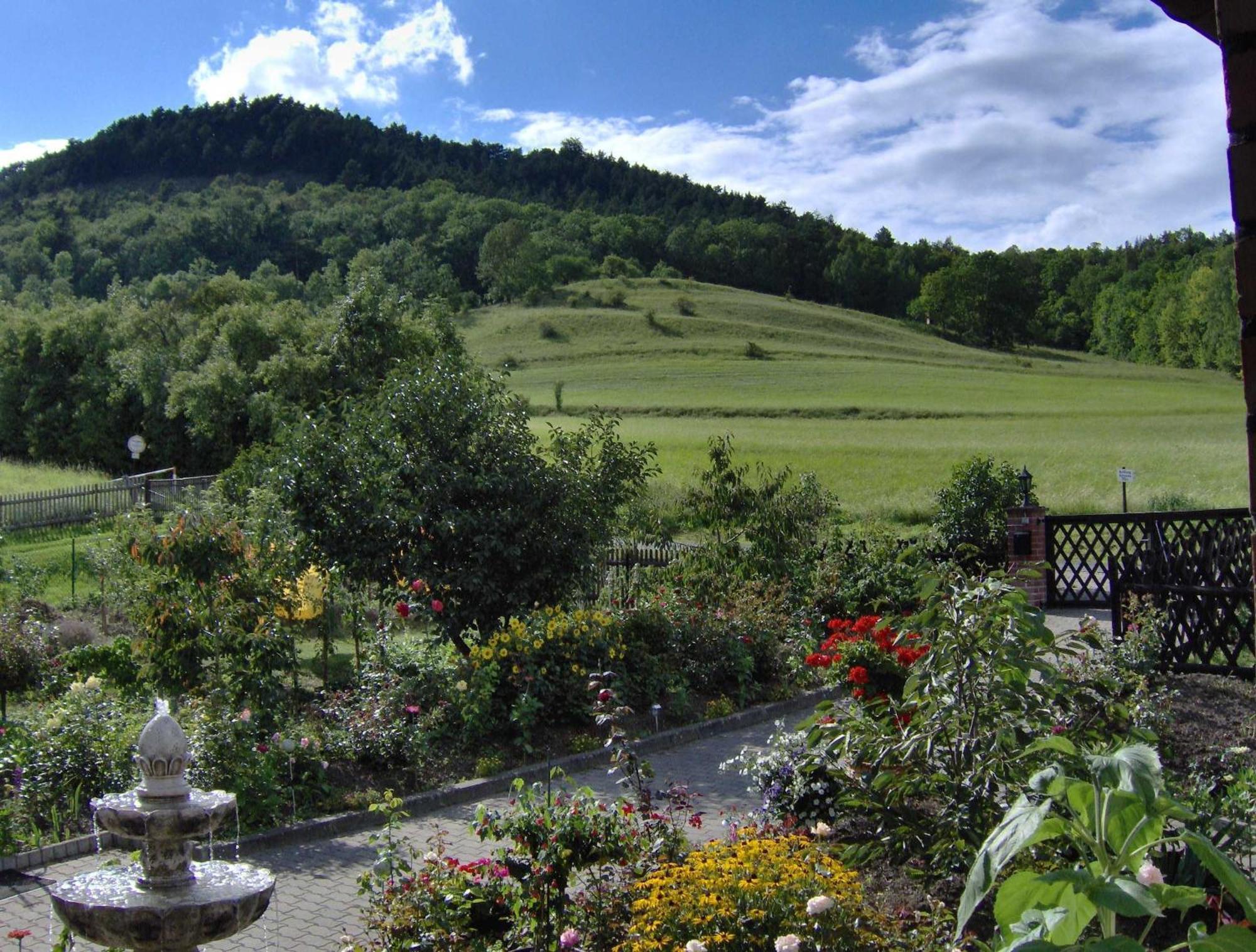 Hotel Haus Orchideental Ена Экстерьер фото